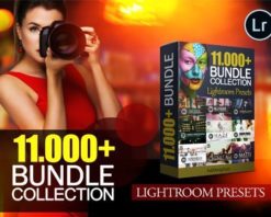 11000 Premium Lightroom Presets for PC and Mac,