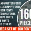 160 unique typefaces. Сalligraphy, display, modern, brush pen, smooth, rounded